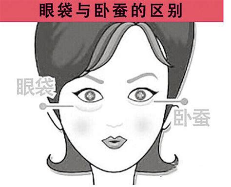 眼袋臥蠶面相|易凡大師解析「臥蠶」面相